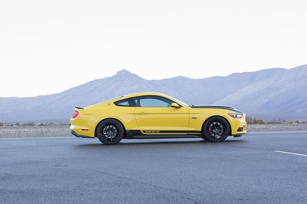  Shelby GT Mustang 2015  . - 8