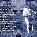 ���� ������, ������ - ��������� 8 ������ 2015 � ������ ������ ��������