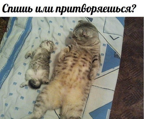 ��������� � ������,��� ���� ��������: fotostrana.ru/prikolyzikfun/