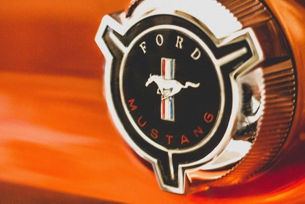 1968 Ford Mustang - 3