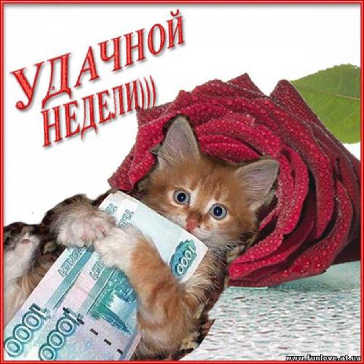 =