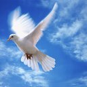 ���� Victor, ������� - ��������� 15 ���� 2015 � ������ ���� ����������