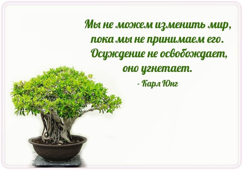  | Yoga - 9  2015  22:28