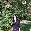 ���� ��������, ����� - ��������� 27 ���� 2015 � ������ ���