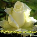  Ashot A, , 60  -  28  2015