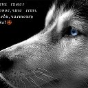  Nelli>>>........................, -, 49  -  10  2015    