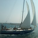 ���� ����, ����, 42 ���� - ��������� 5 ������� 2015 � ������ ���� ����������