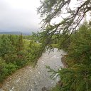 ���� ������, ������, 35 ��� - ��������� 8 ������� 2015 � ������ ����� 2015�