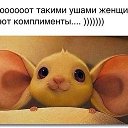 ���� �������, �����-��������� - ��������� 1 �������� 2015 � ������ ������ ��������