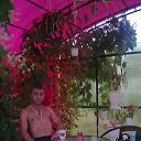 ���� ����, ������, 47 ��� - ��������� 31 ���� 2015