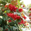 ������ ����� ������ ����. �� ������� ������ ��������