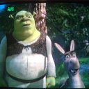 ���� �����, �����������, 47 ��� - ��������� 30 ���� 2015 � ������ ���������