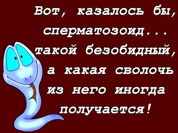  - 1  2015  04:42