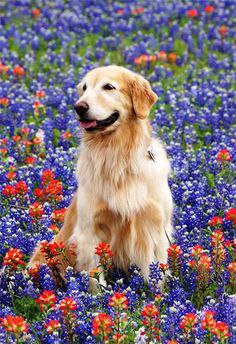  - 18  2015  14:10 - 7