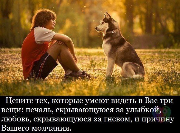   - 11  2015  19:17