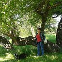 ���� ����, ����������, 64 ���� - ��������� 19 ��� 2015 � ������ ���������