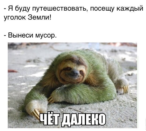     - 6  2015  09:21