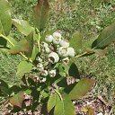 �������� �� ������� ���� ����������