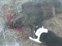 ���� >, ������ - ��������� 21 ���� 2015 � ������ ���� ����������