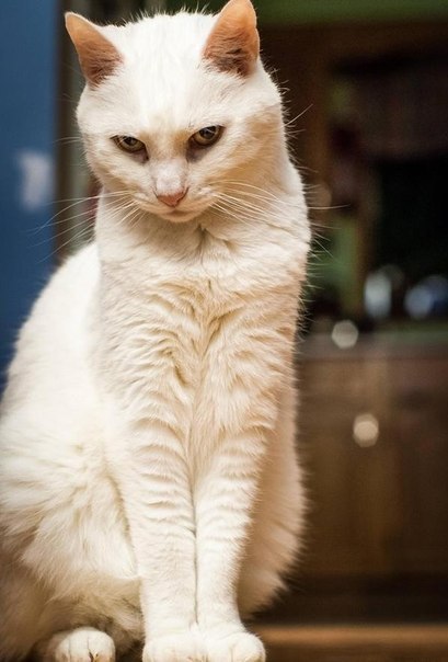  -  - 22  2015  10:23