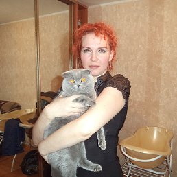 , 39 , 
