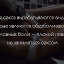  Alex,  -  1  2015    