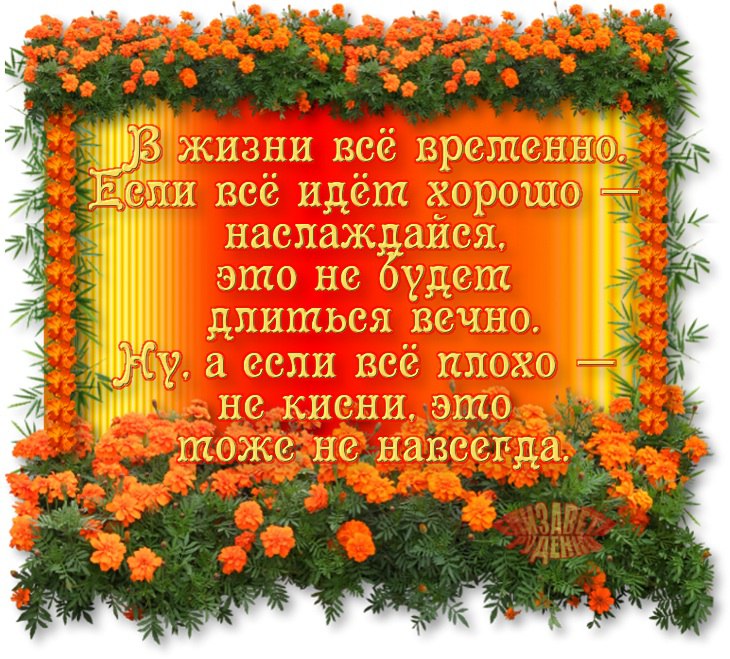   - 7  2015  06:10