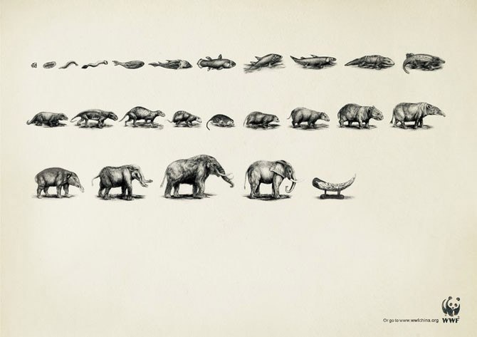    .  WWF. - 3