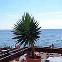  , , 60  -  16  2015    , 2015