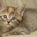 ���� �����, �����-��������� - ��������� 18 ���� 2015 � ������ ���� ����������