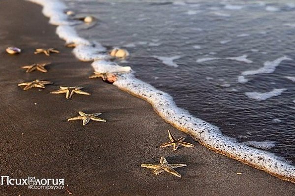 Человек шел по берегу и вдруг увидел мальчика, который поднимал что-то с песка и бросал в море. ...