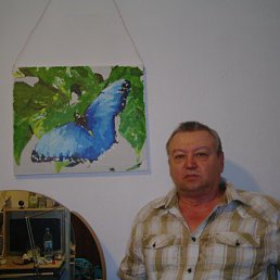 ���� �������, ��������, 77 ��� - ��������� 10 �������� 2015