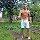 31 ��� 2015 �� ������� ���� ����������