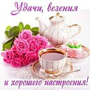 ���� ���������, ��������� - ��������� 2 ���� 2015 � ������ �������� ��������