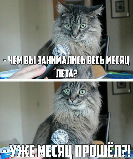    :D - 2  2015  09:40