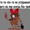 ���� �������, ������ - ��������� 22 ��� 2015 � ������ ������ ��������
