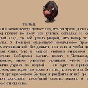 ���� ������, ����, 48 ��� - ��������� 29 ���� 2015 � ������ ������ ��������