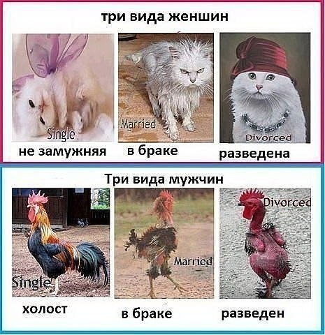       - 7  2015  08:30