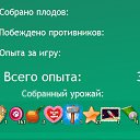  ,  -  2  2015       . 12  2015- ... ..