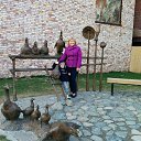 ���� ����� ������������, ������, 71 ��� - ��������� 5 ��� 2015 � ������ ���� ����������