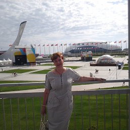 ���� 2015 ���