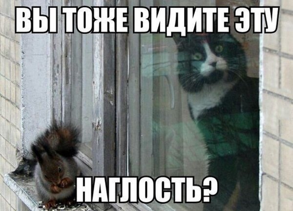    :-) - 7  2015  23:40