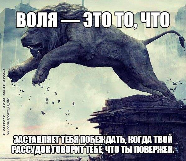 -   - 24  2015  14:12