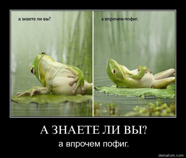 ������ ����� / ���� ! - 29 ������� 2015 � 22:27