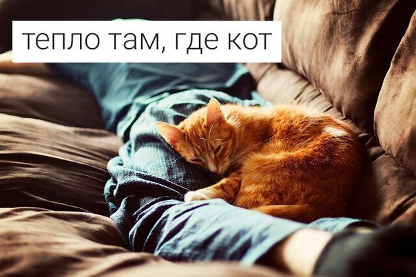       - 17  2015  20:04