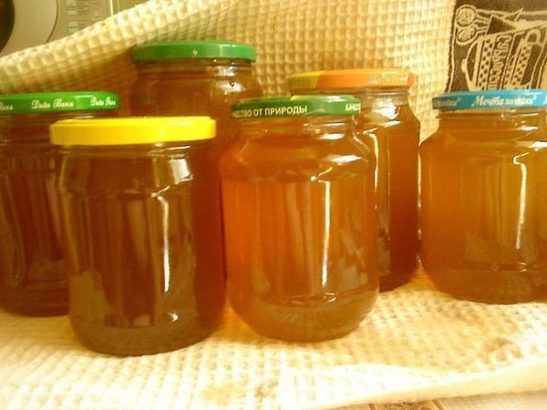 Варенье из одуванчиков.Вкусняшка. Рецепт: цветки одуванчика — 400 шт., сахар — 1 кг, вода — 4 ...