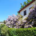  , , 60  -  19  2015     17.05.15.