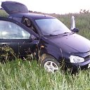 ���� ����, �����, 35 ��� - ��������� 8 ���� 2015 � ������ ���� ����������