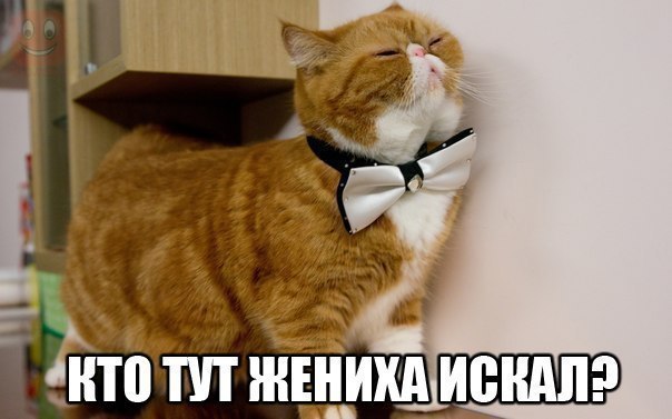    - 24  2015  11:12