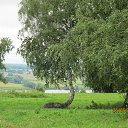 ���� ����, ������ - ��������� 14 ������� 2015